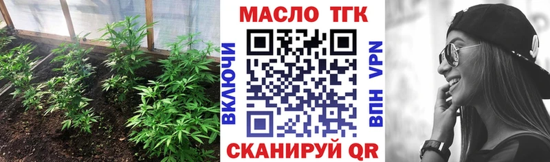 Купить где  Фурманов  ТГК концентрат 